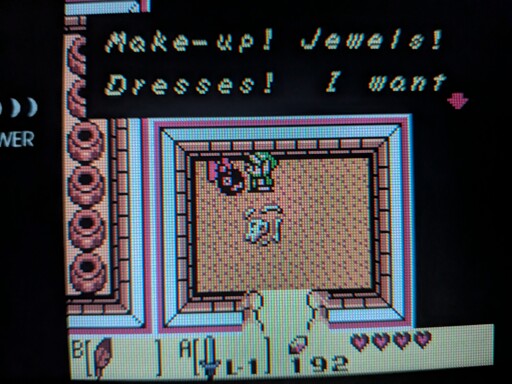 A picture of dialog from The Legend of Zelda Link's Awakening DX in which a small Chain Chomp with a pink bow says "Make-up! Jewels! Dresses! I want..."