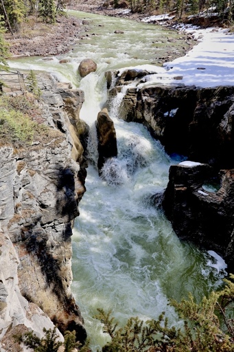 The uppermost section of Sunwapta Falls with snow still on the shaded side of the riverbank.  On the other side of the bridge there is an access to that snowy area.  I went up to where the snowline begins out of frame, but I don't know what the footing would be like 30 ft beyond that.