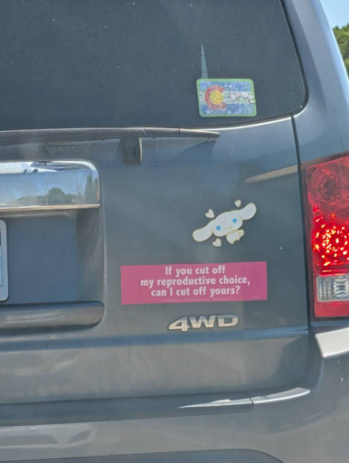 If you cut off my reproductive choice, can I cut off yours?