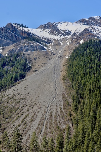 Looking across at where you can see the channel  from a previous snowmelt coming down the mountainside.