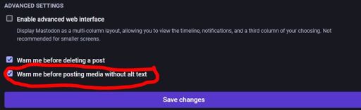 Screenshot of the advanced settings in /settings/preferences/appearance. The setting "Warn me before posting media without alt text" is checked and circled in red.
