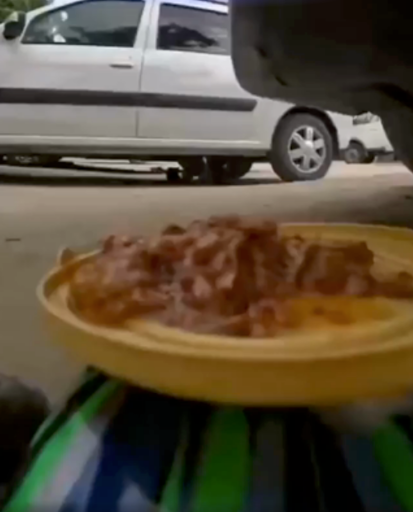 #Cat robot #food develivery!