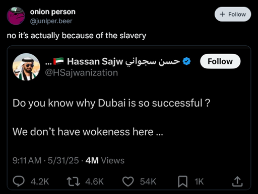 A message reading "Do you know why Dubai is so successful? We don't have wokeness here." and a reply reading "no it’s actually because of the slavery"