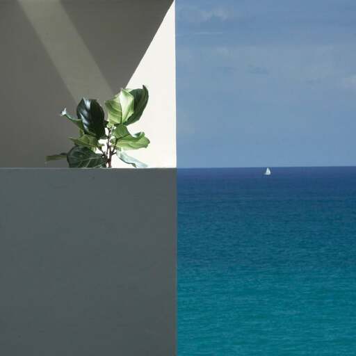 A balcony with a fig plant on it next to the sea
